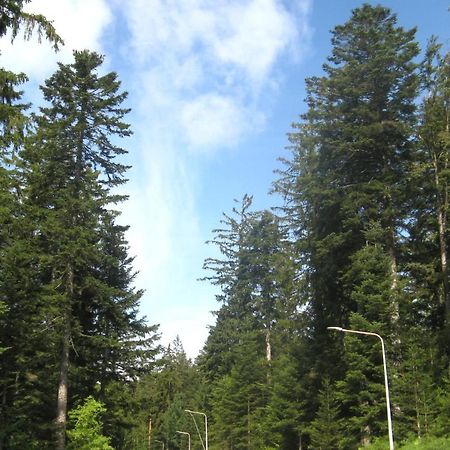 Ferienwohnung Schwarzwald Oase Kniebis Exterior foto