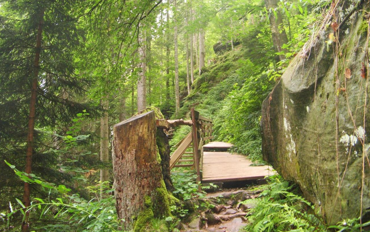 Ferienwohnung Schwarzwald Oase Kniebis Exterior foto